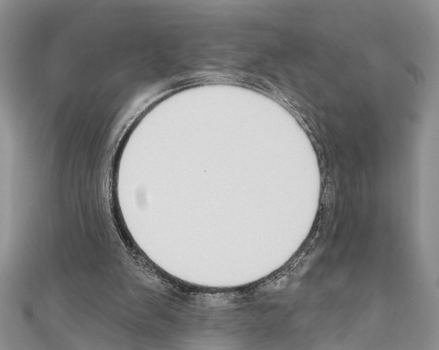 X0000110700103200907241133