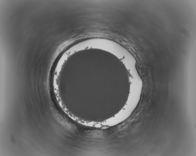 X0000110700104200907241133