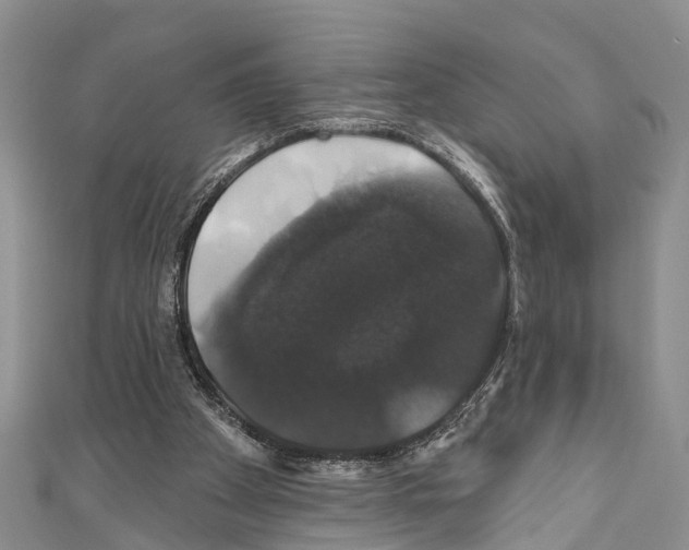 X0000110700105200907241133