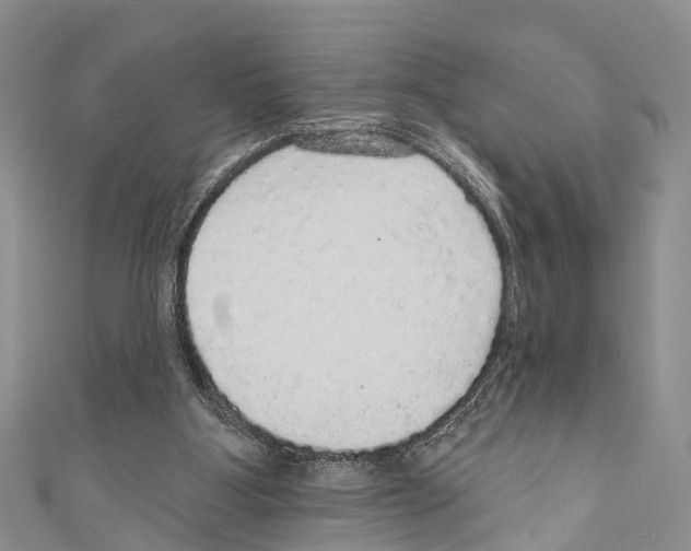 X0000110700107200907241133
