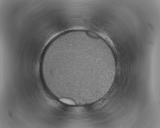 X0000110700108200907241133