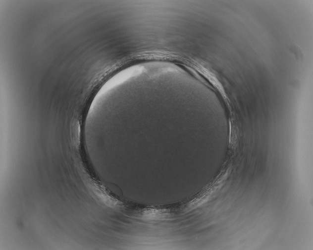 X0000110700109200907241133