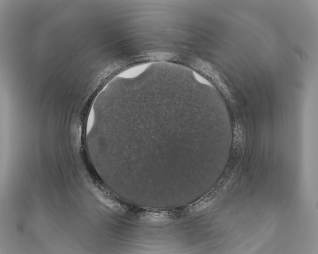X0000110700110200907241133