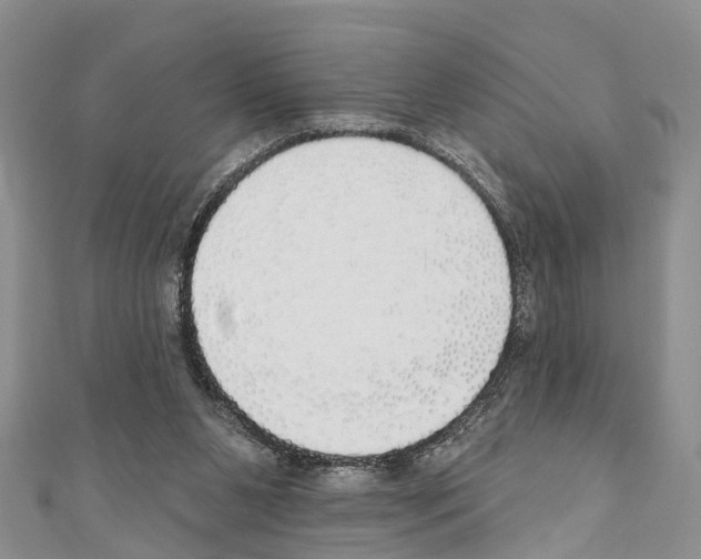 X0000110700111200907241133