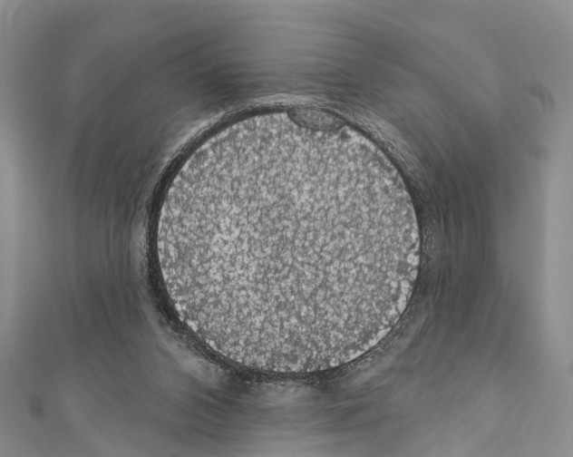 X0000110700112200907241133