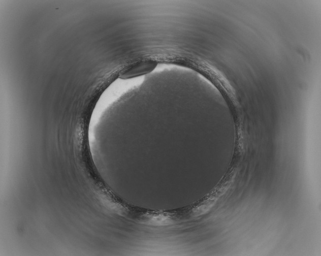 X0000110700113200907241133