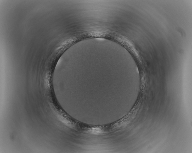 X0000110700114200907241133