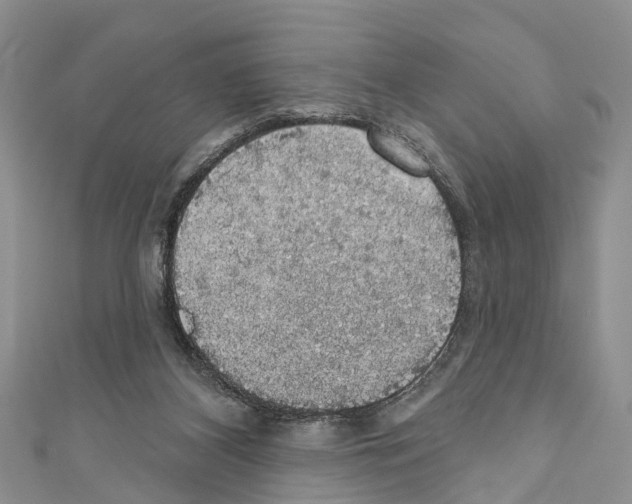 X0000110700116200907241133