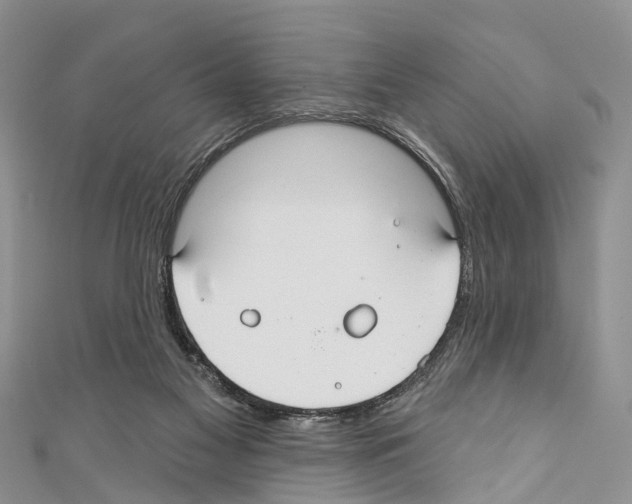 X0000110700117200907241133