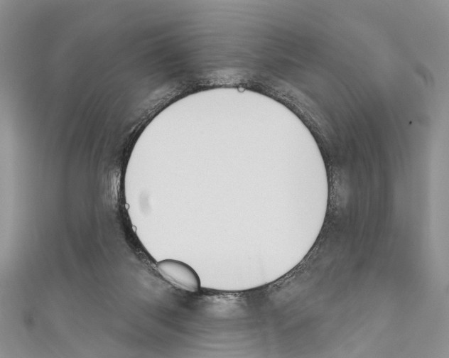 X0000110700118200907241133