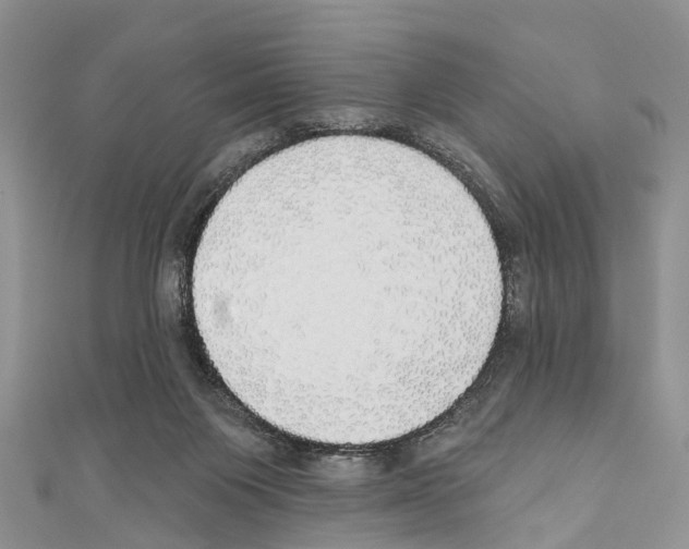 X0000110700119200907241133
