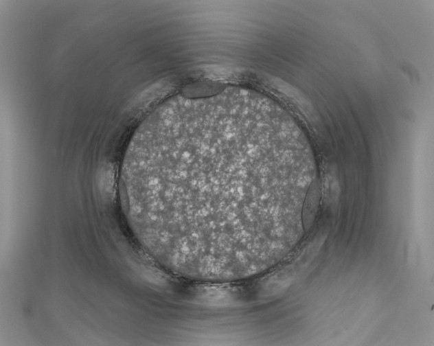 X0000110700121200907241133
