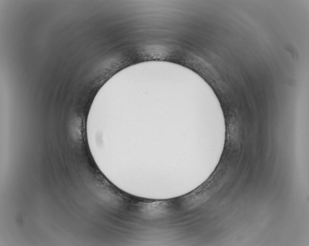 X0000110700122200907241133