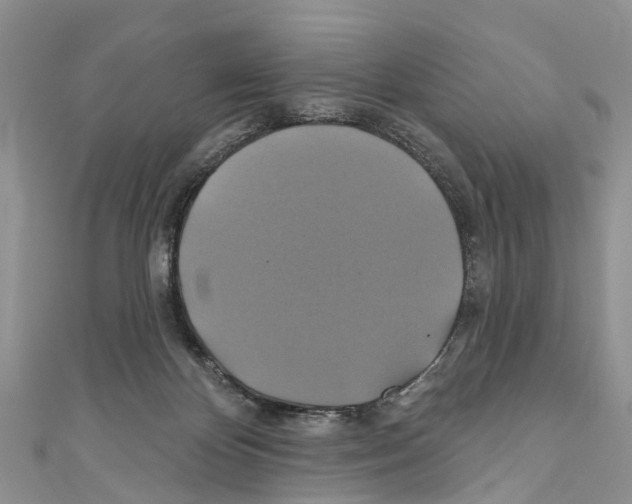 X0000110700124200907241133