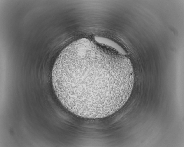 X0000110700125200907241133