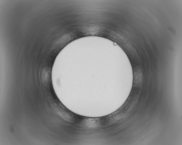 X0000110700126200907241133