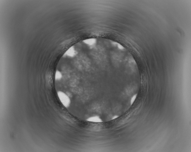 X0000110700127200907241133