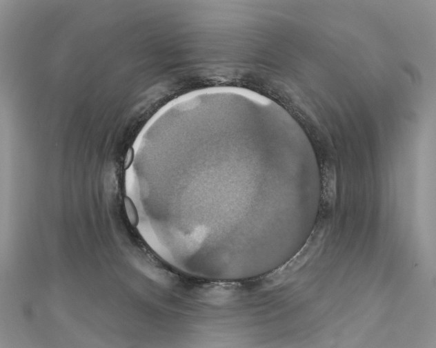 X0000110700128200907241133