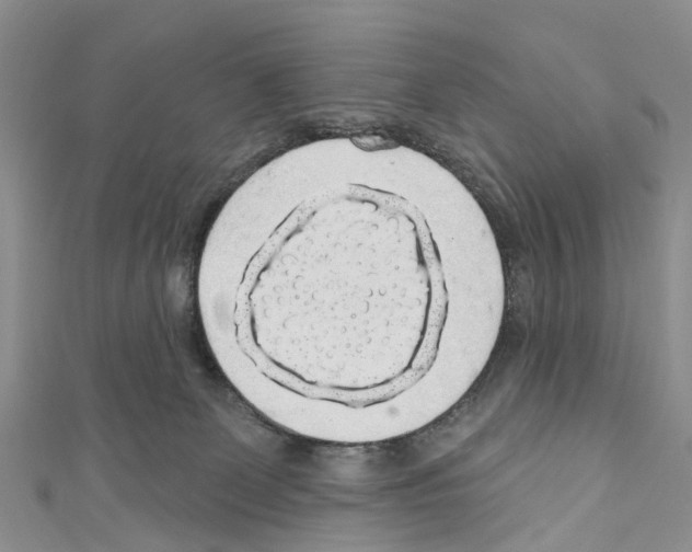 X0000110700131200907241133