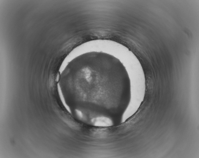 X0000110700132200907241133
