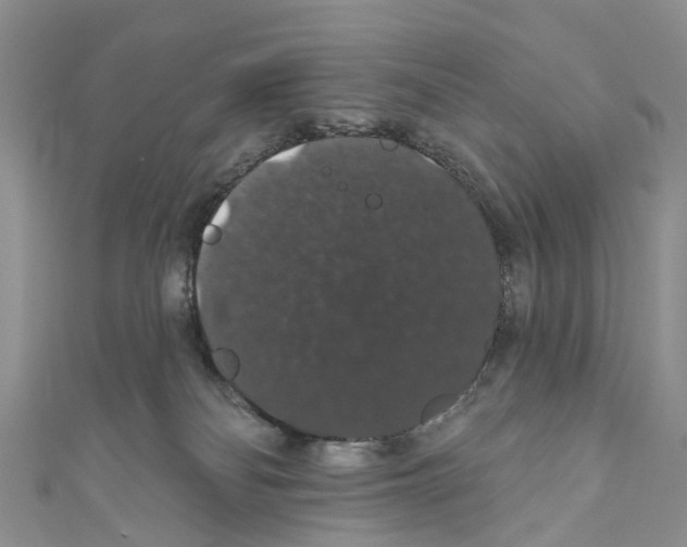 X0000110700134200907241133