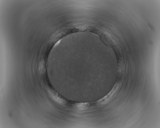 X0000110700136200907241132