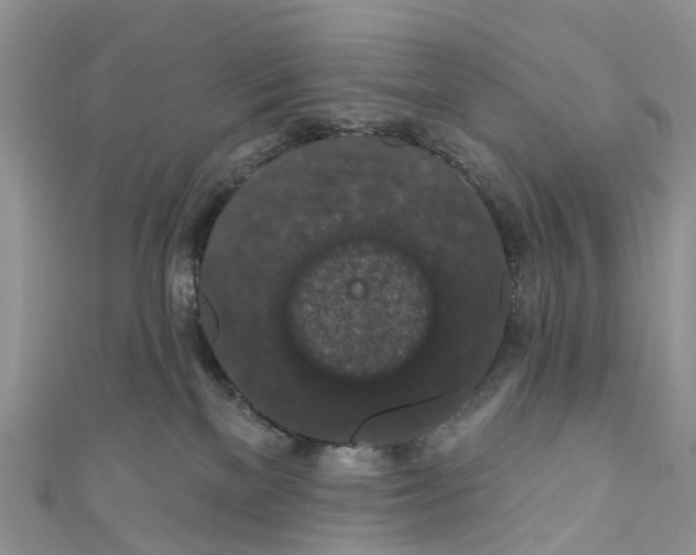 X0000110700137200907241132