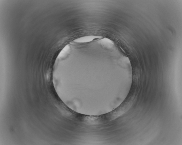 X0000110700139200907241132