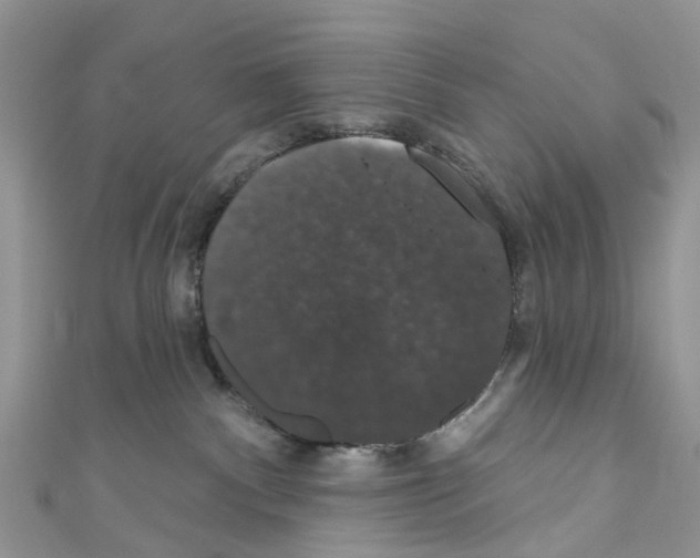 X0000110700140200907241132