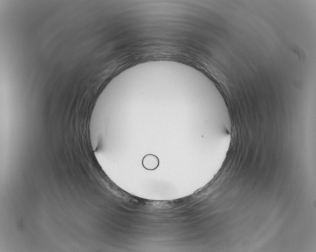 X0000110700141200907241132
