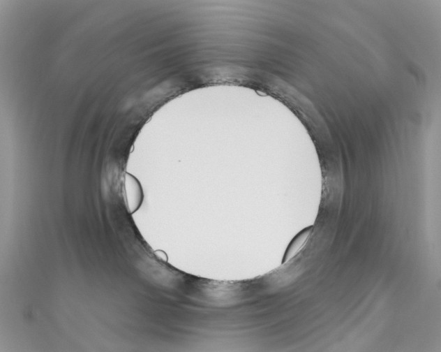 X0000110700142200907241132