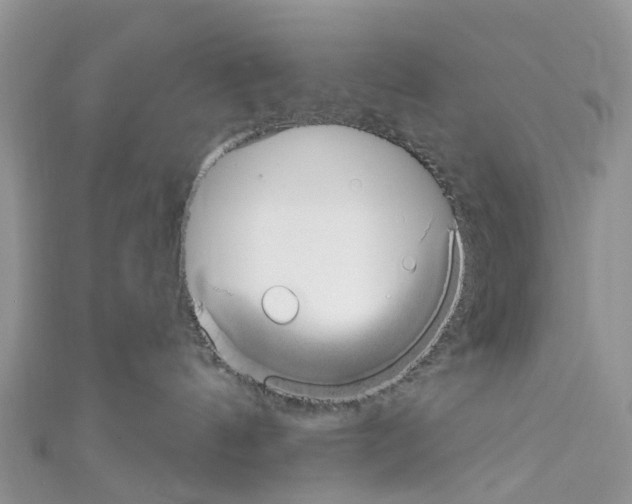 X0000110700144200907241132