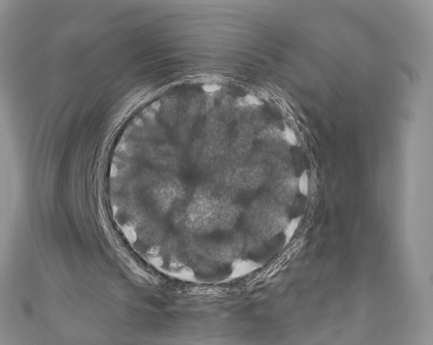 X0000110700145200907241132