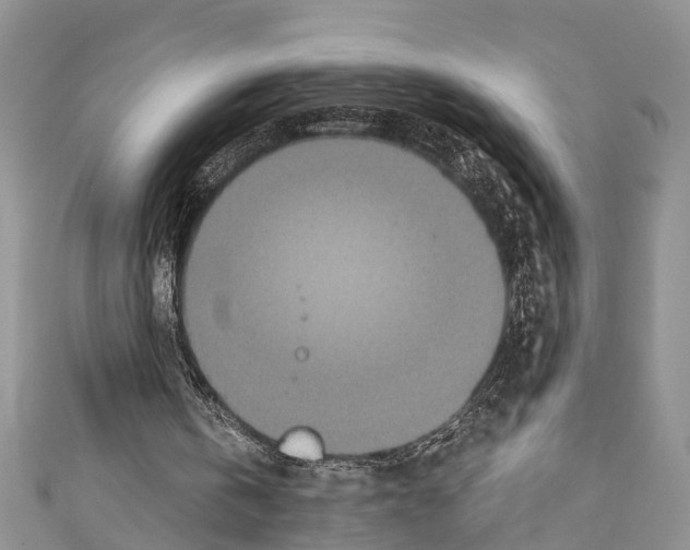 X0000110700146200907241132