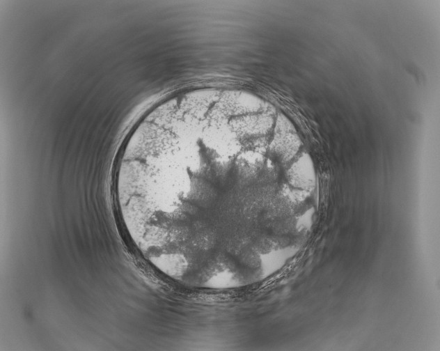 X0000110700147200907241132