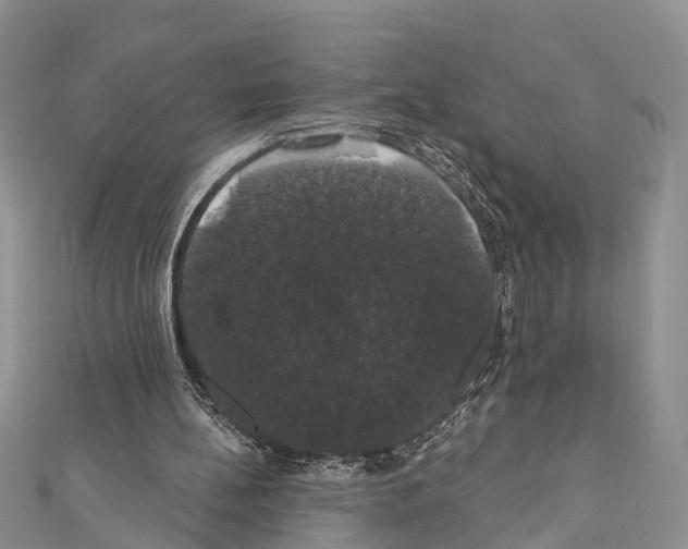 X0000110700148200907241132