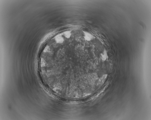 X0000110700149200907241132