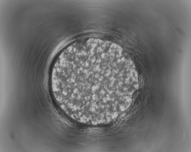 X0000110700150200907241132