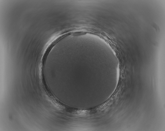 X0000110700152200907241132