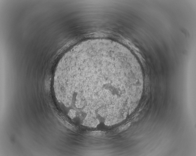 X0000110700153200907241132