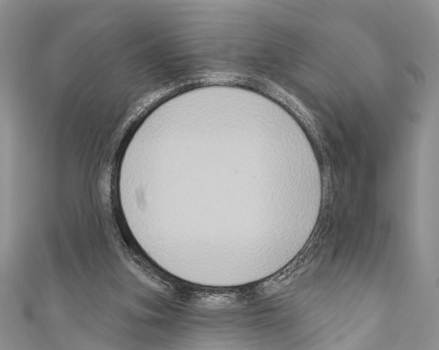 X0000110700155200907241132