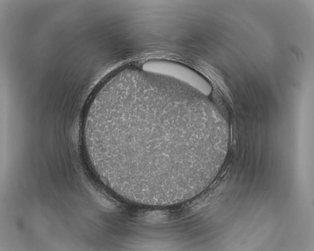 X0000110700156200907241132