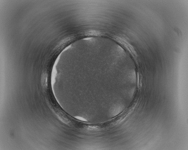 X0000110700157200907241132