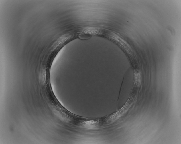 X0000110700158200907241132