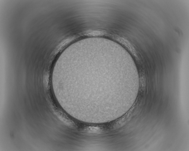 X0000110700159200907241132