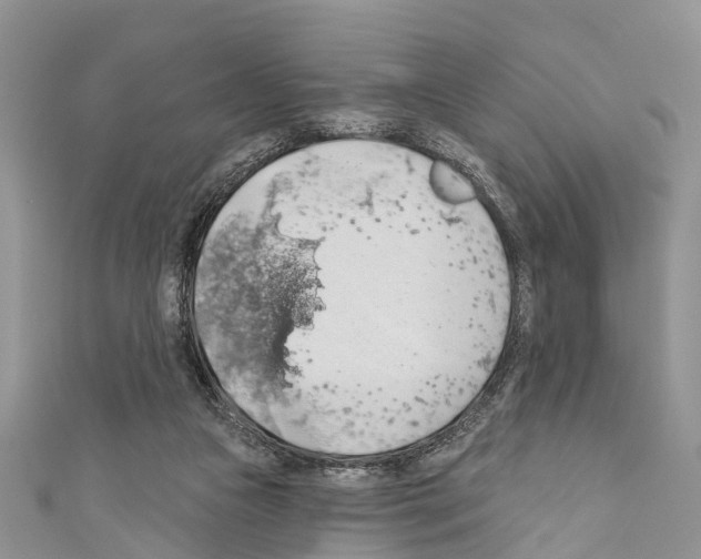 X0000110700161200907241132