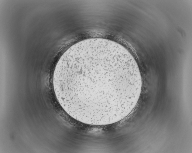 X0000110700162200907241132