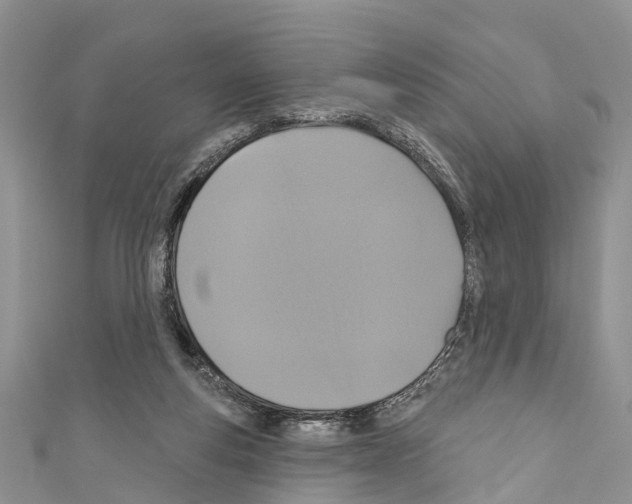 X0000110700163200907241132