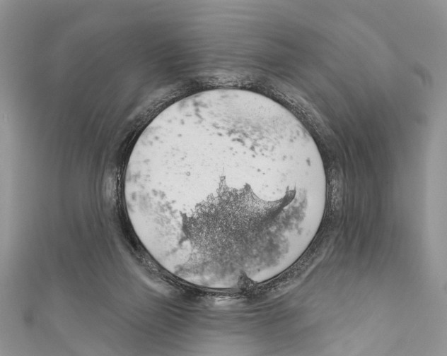 X0000110700165200907241132