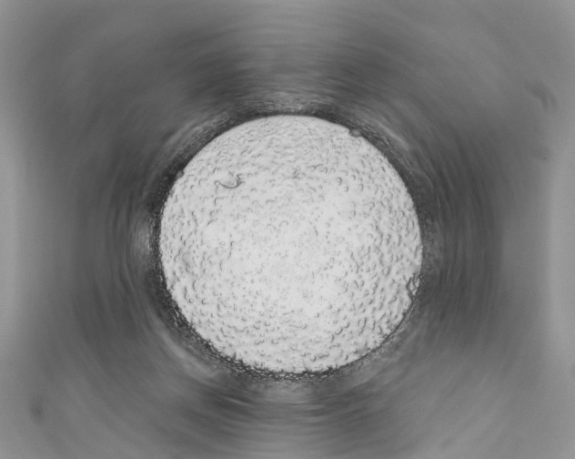 X0000110700166200907241132
